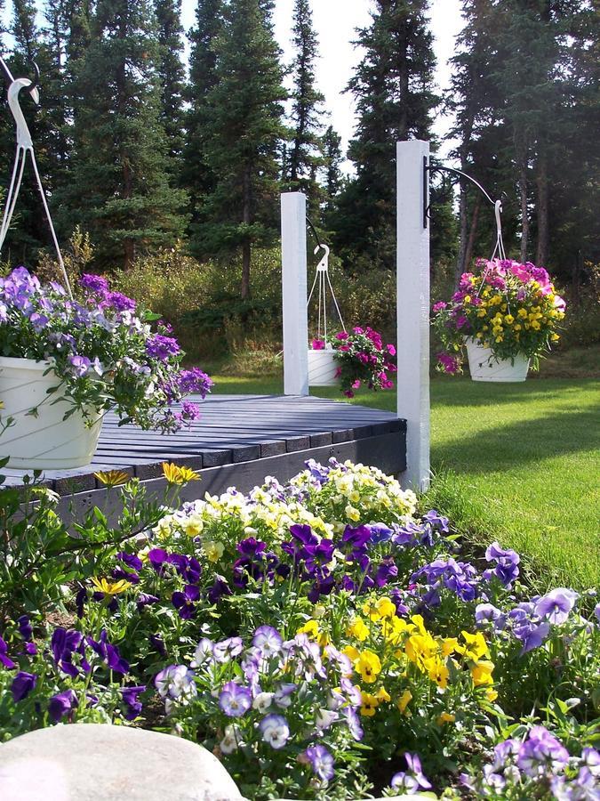 הילי Denali Primrose Bed & Breakfast מראה חיצוני תמונה